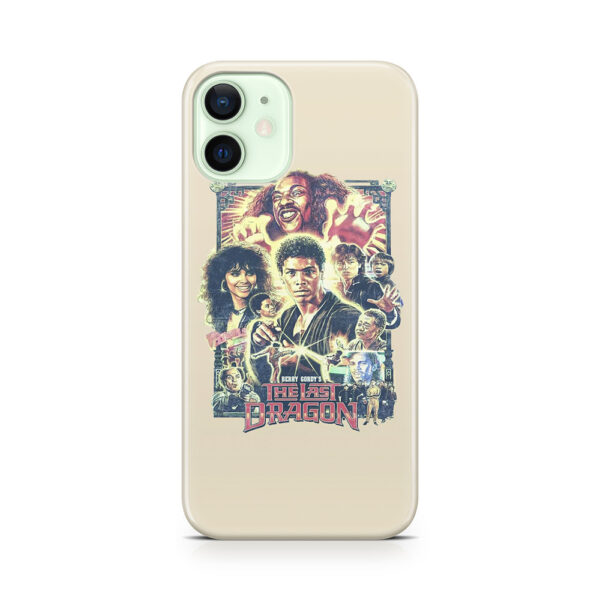 Master Kung Fu Phone Case