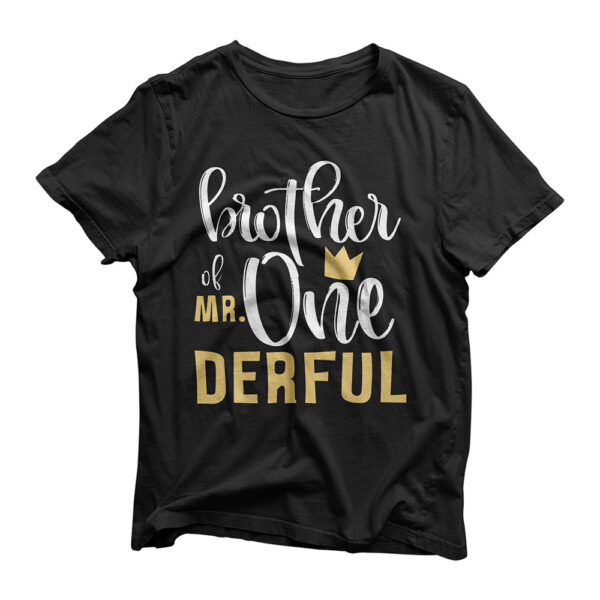 Mens Brother Mr Onederful 1st Birthday First One-Derful Matching T-Shirt