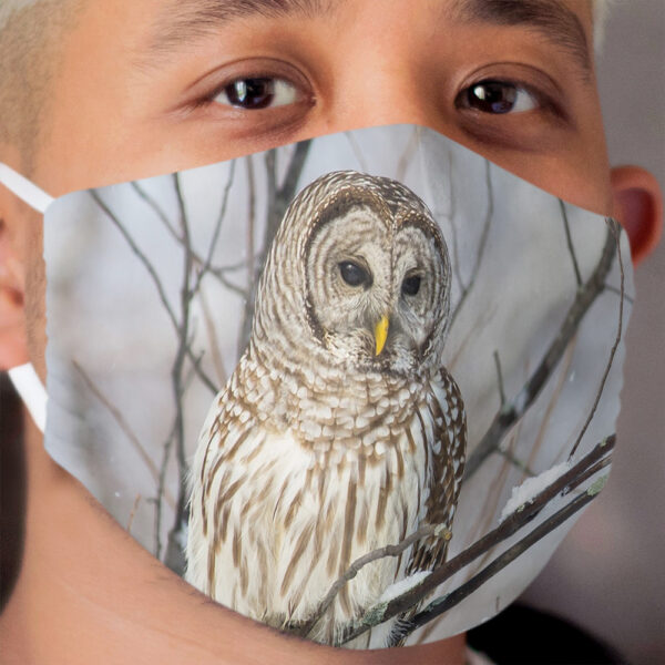 Barred Owl on Snowy Branch Cloth Face Mask