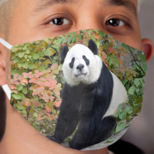 Bei Bei at the National Zoo Cloth Face Mask 2