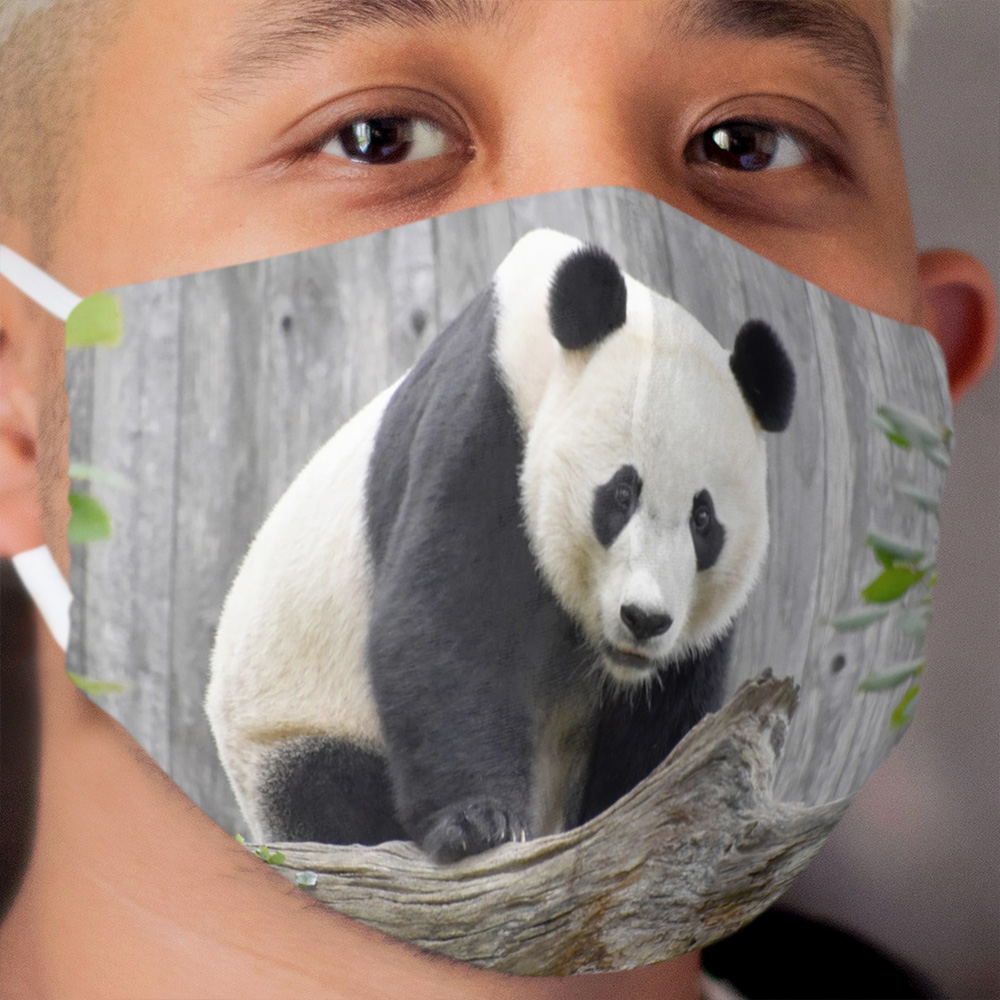 Bei Bei at the National Zoo Cloth Face Mask