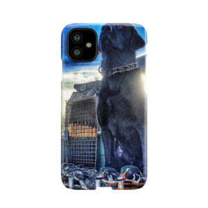 Black Lab - Mallard Down Phone Case