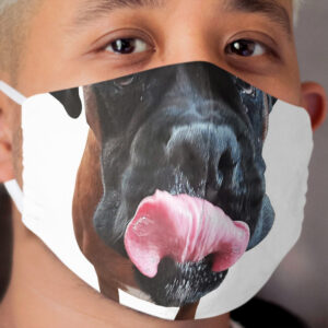 Boxer Dog Cloth Face Mask