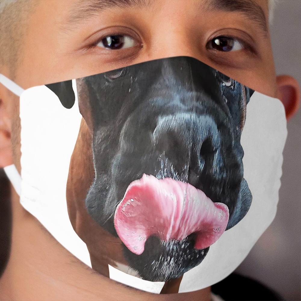 Boxer Dog Cloth Face Mask