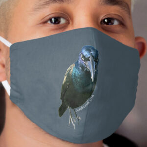 Count Grackula mask grey Cloth Face Mask