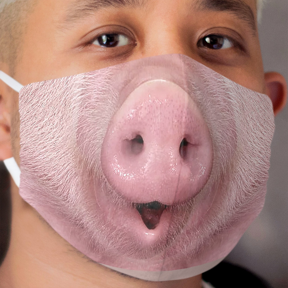 CREATIVE MASK 048: pig nose 2 Cloth Face Mask