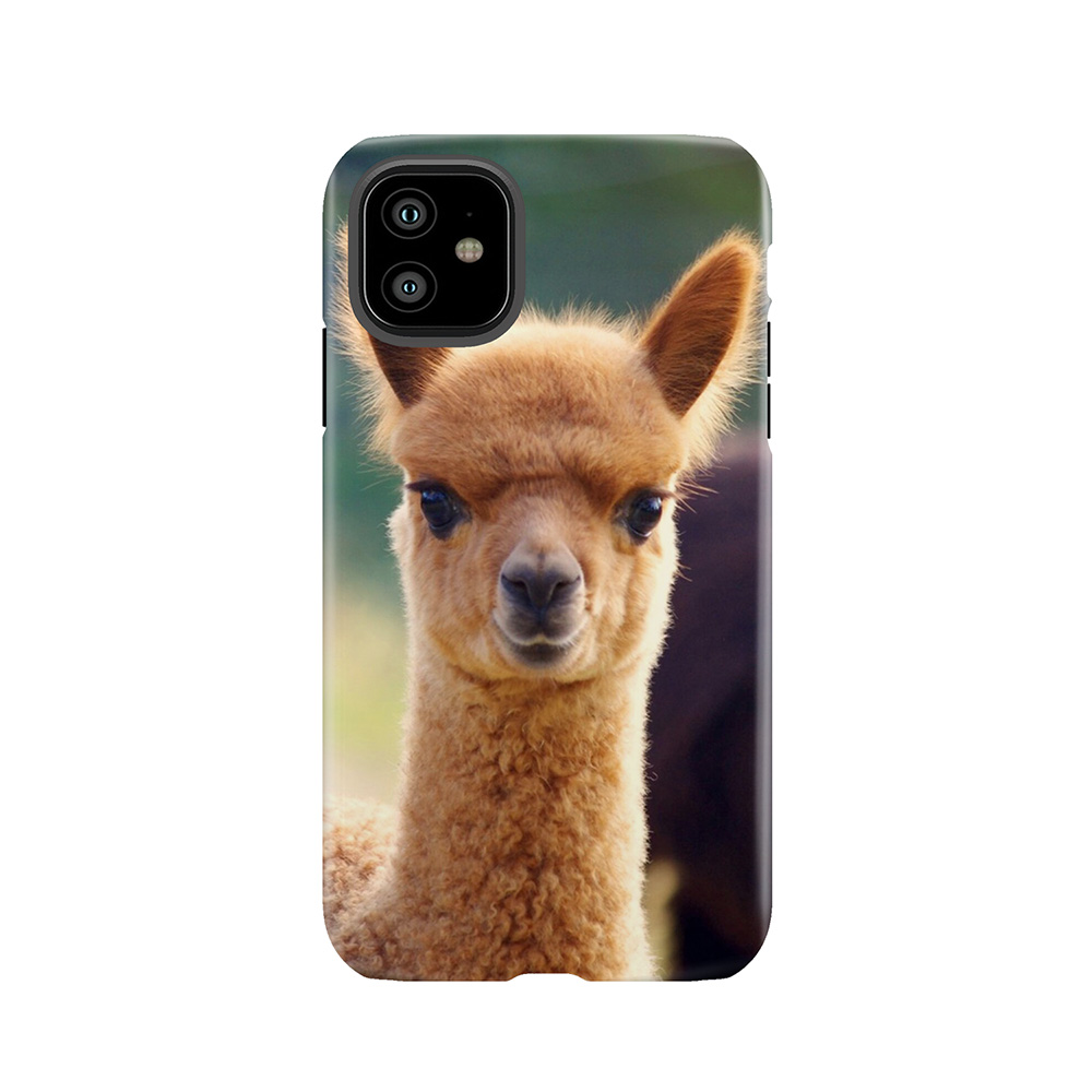 Cute Baby Alpaca Tough Phone Case