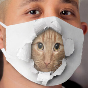 Cute cat's Face in a Hole Cloth Face Mask