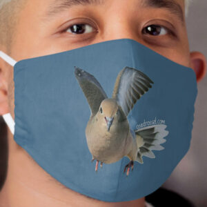 Fab Dove mask blue Cloth Face Mask