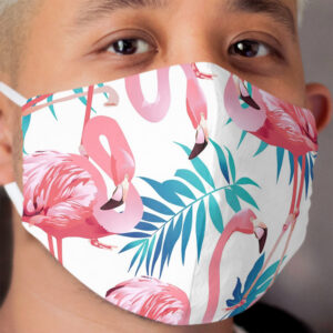 Flamingo Fun Cloth Face Mask
