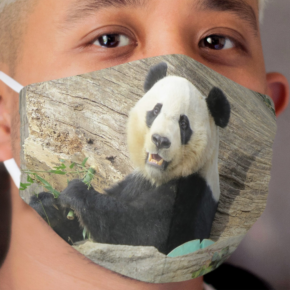 Giant Panda Bei Bei at the National Zoo Cloth Face Mask