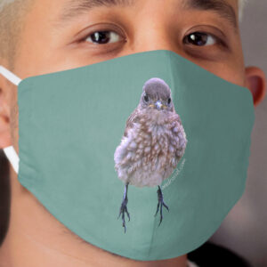 Grumpy BB mask green Cloth Face Mask