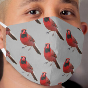 King of the Yard II mask grey Cloth Face Mask