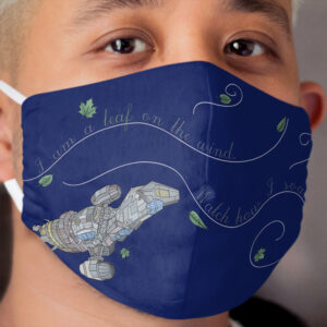 Leaf on the wind Cloth Face Mask