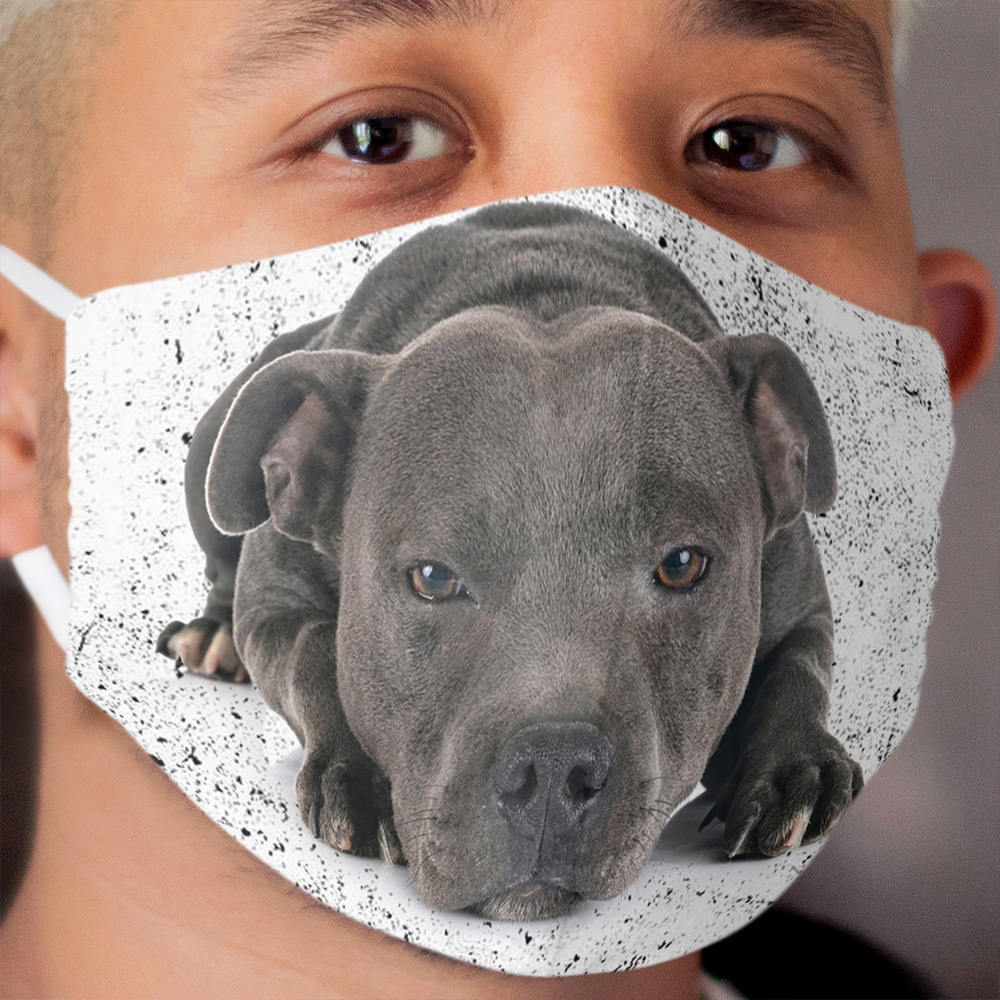 Love is 4 paws & waggy tail Blue Staffordshire Bull Terrier Cloth Face Mask