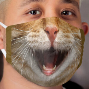 Orange Tabby Cat Cloth Face Mask