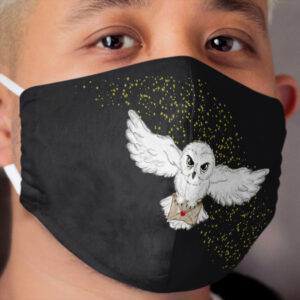 Owl Flight Cloth Face Mask