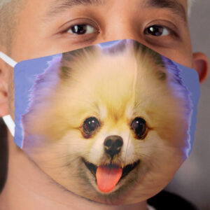 Pomeranian cutesy face Cloth Face Mask