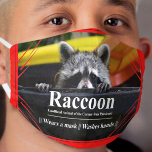 Raccoon Cloth Face Mask 2