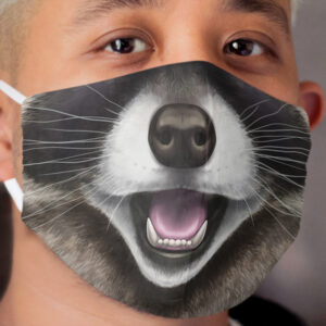 Raccoon Cloth Face Mask