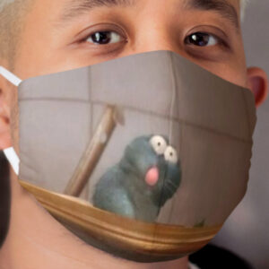 Ratatouille meme Cloth Face Mask