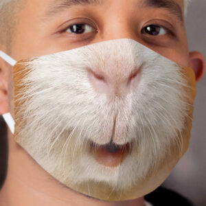 red guinea pig Cloth Face Mask