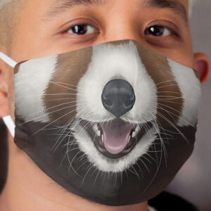 Red Panda Cloth Face Mask