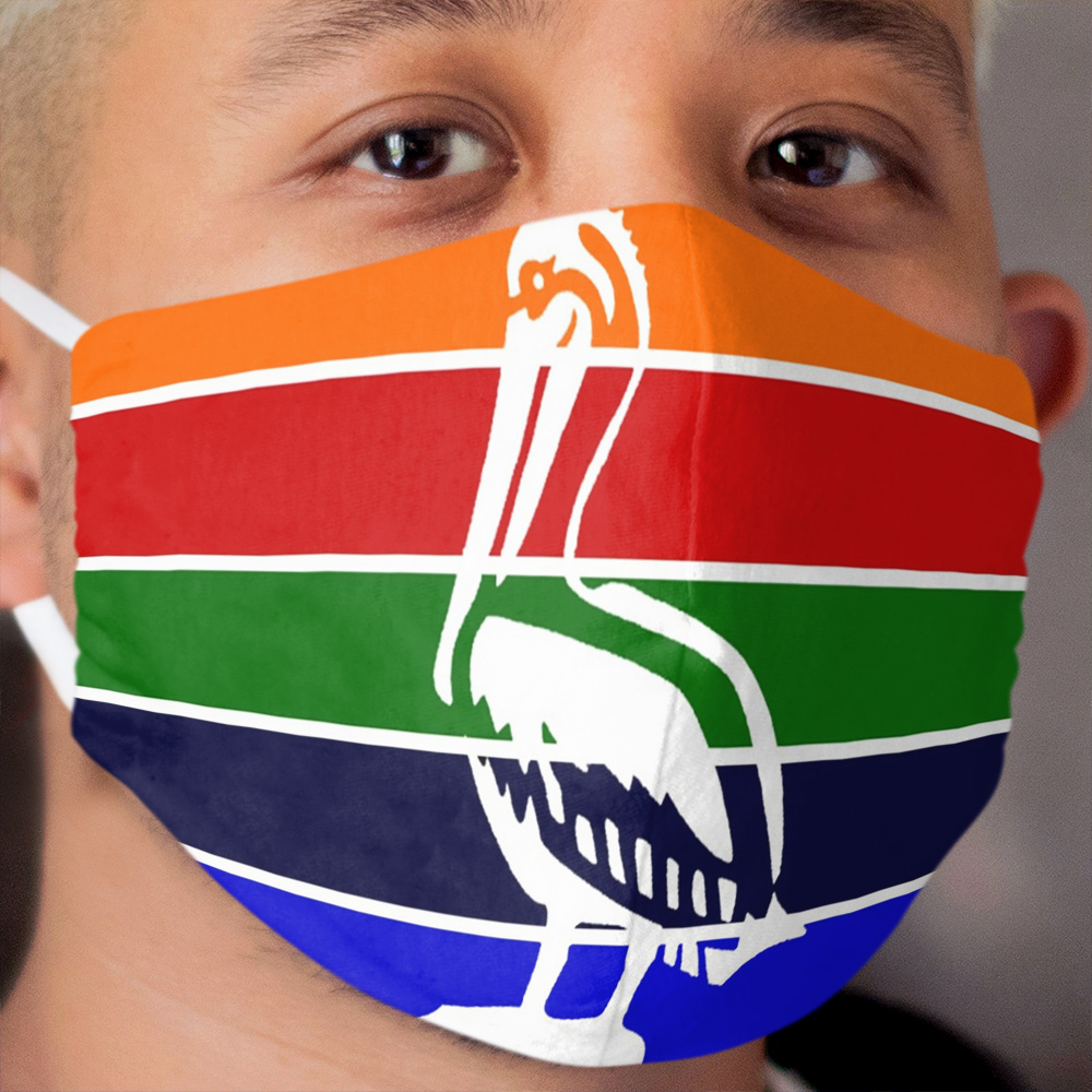 Saint Petersburg Florida City Flag Cloth Face Mask