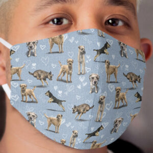 The Border Terrier Cloth Face Mask