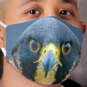 The Eyes of a Peregrine Falcon Cloth Face Mask