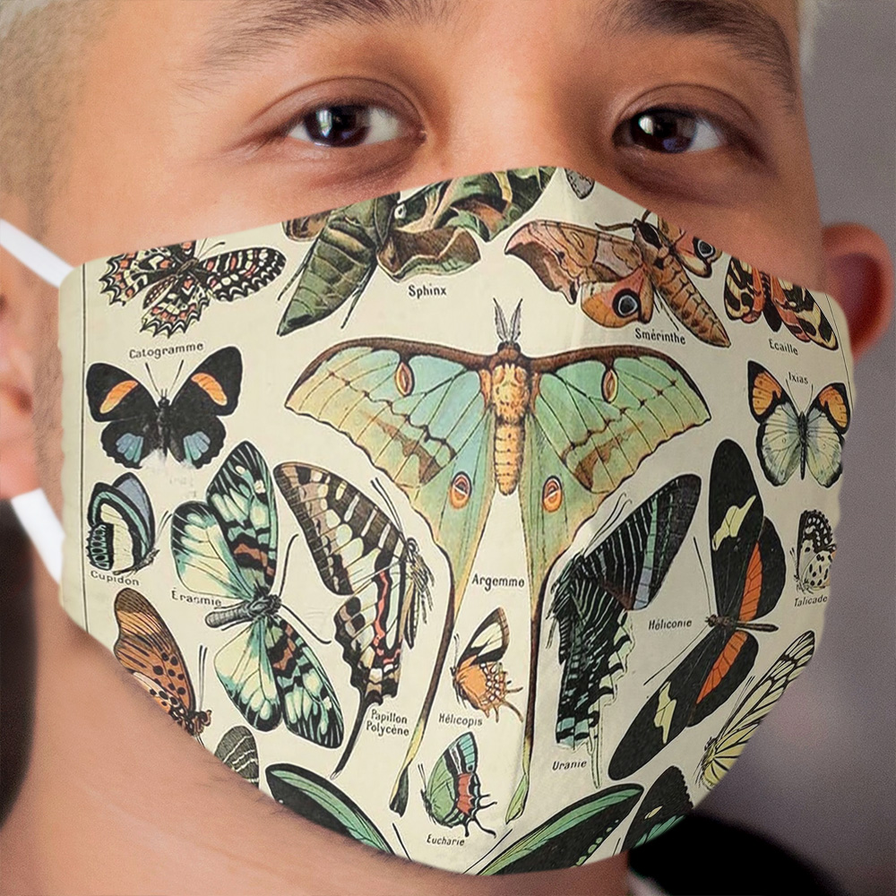 vintage butterflies and moths Cloth Face Mask