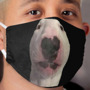 Walter Cloth Face Mask
