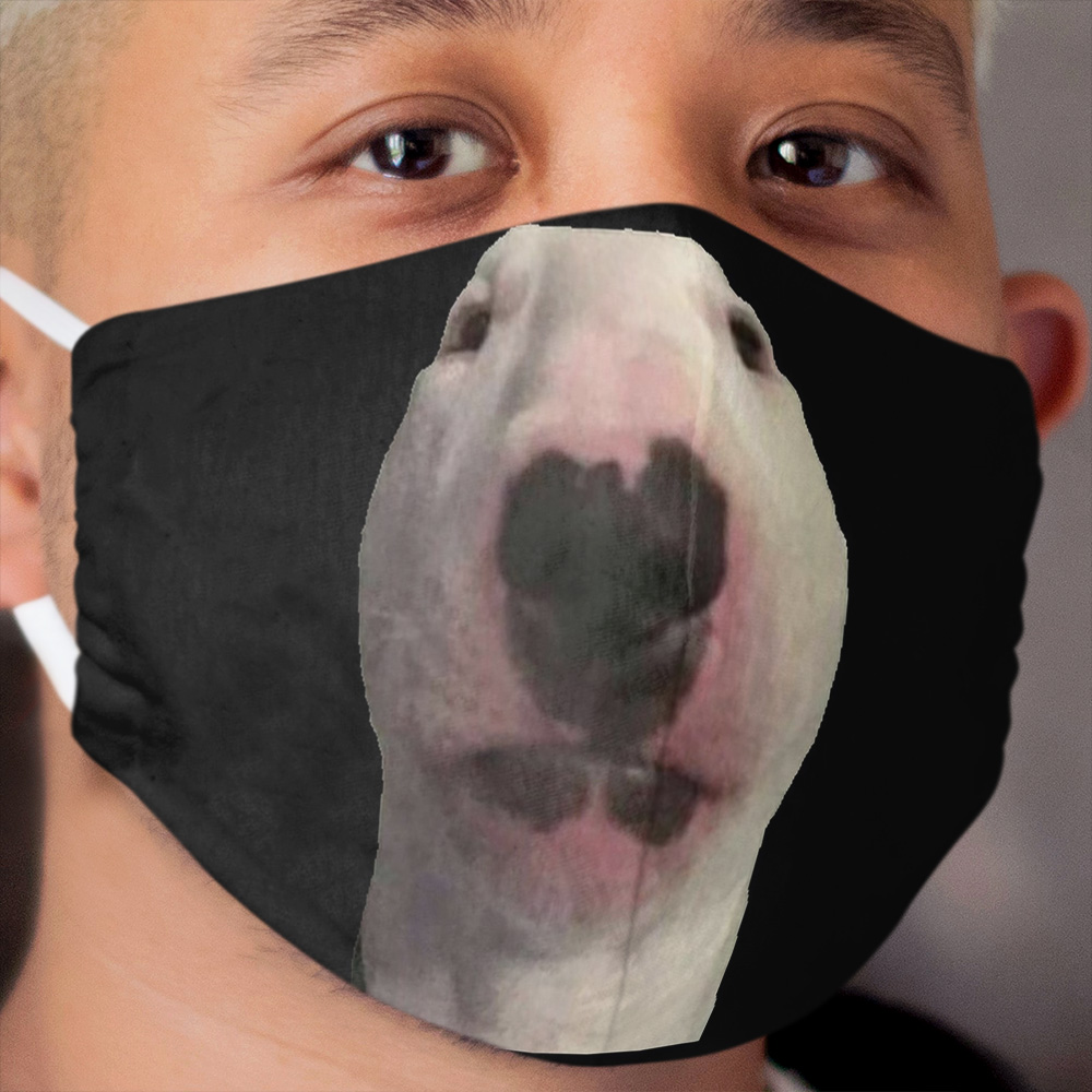 Walter Cloth Face Mask