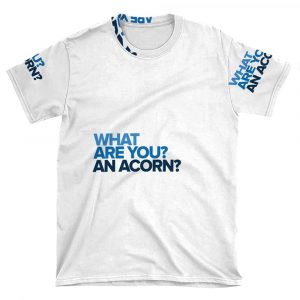 An Acorn? - Dear Evan Hansen AOP T-shirt Tee