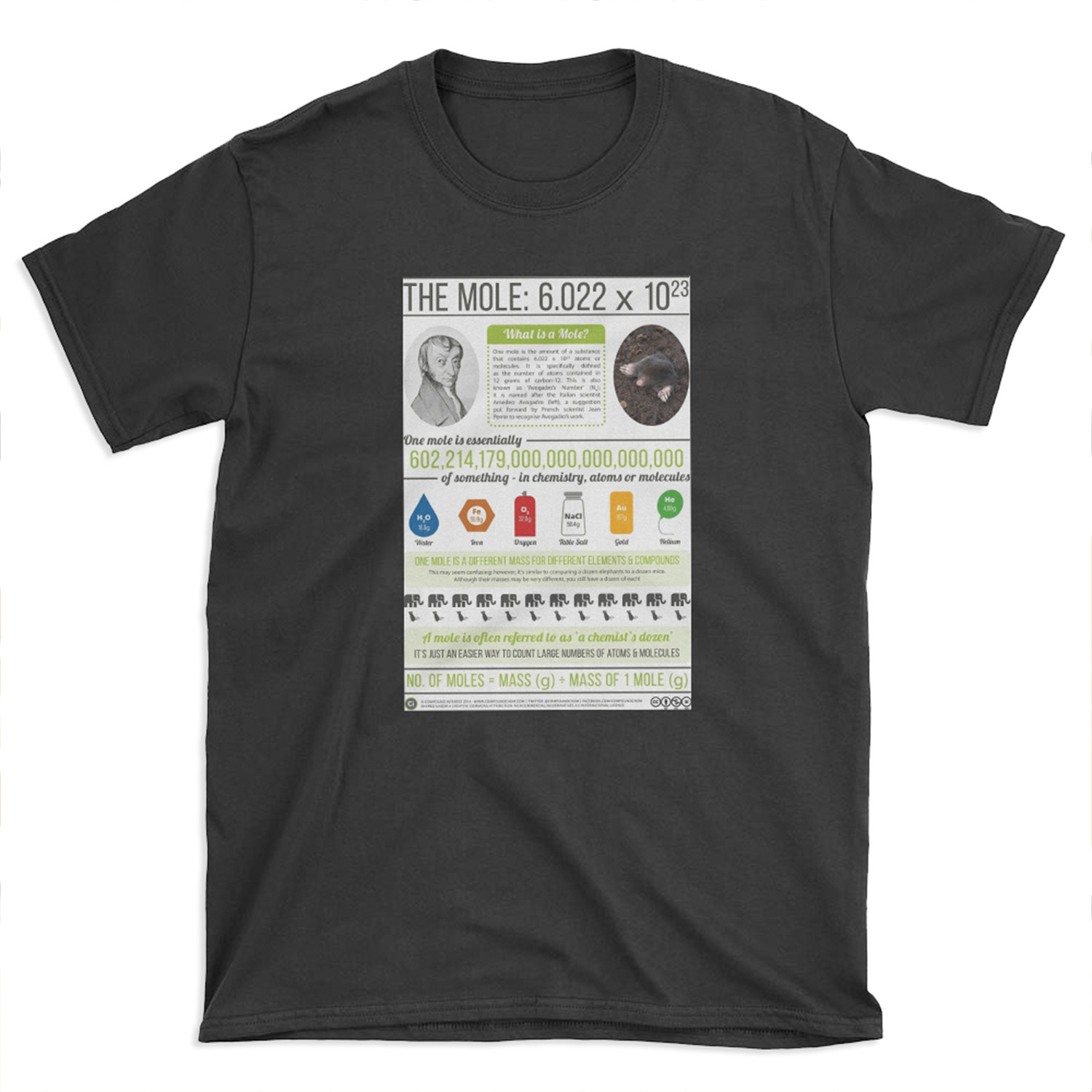 Avogadro & The Mole T-shirt Tee