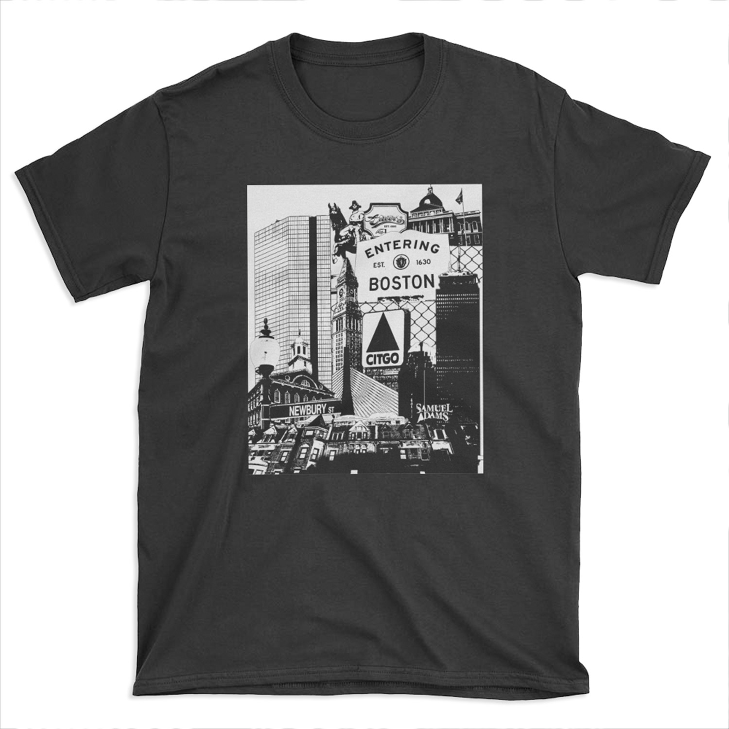 Boston scenes and sights collage T-shirt Tee