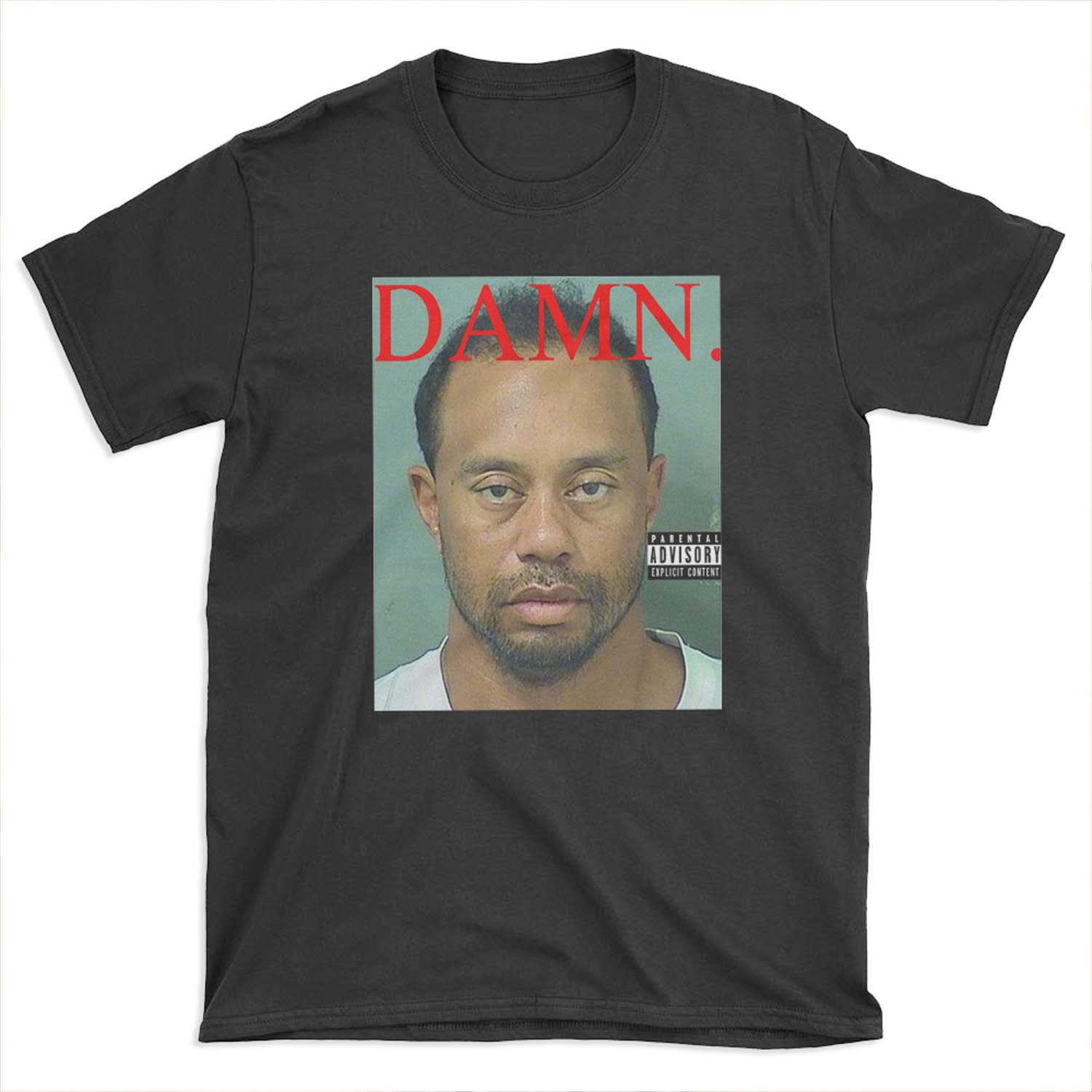 Damn Tiger T-shirt Tee