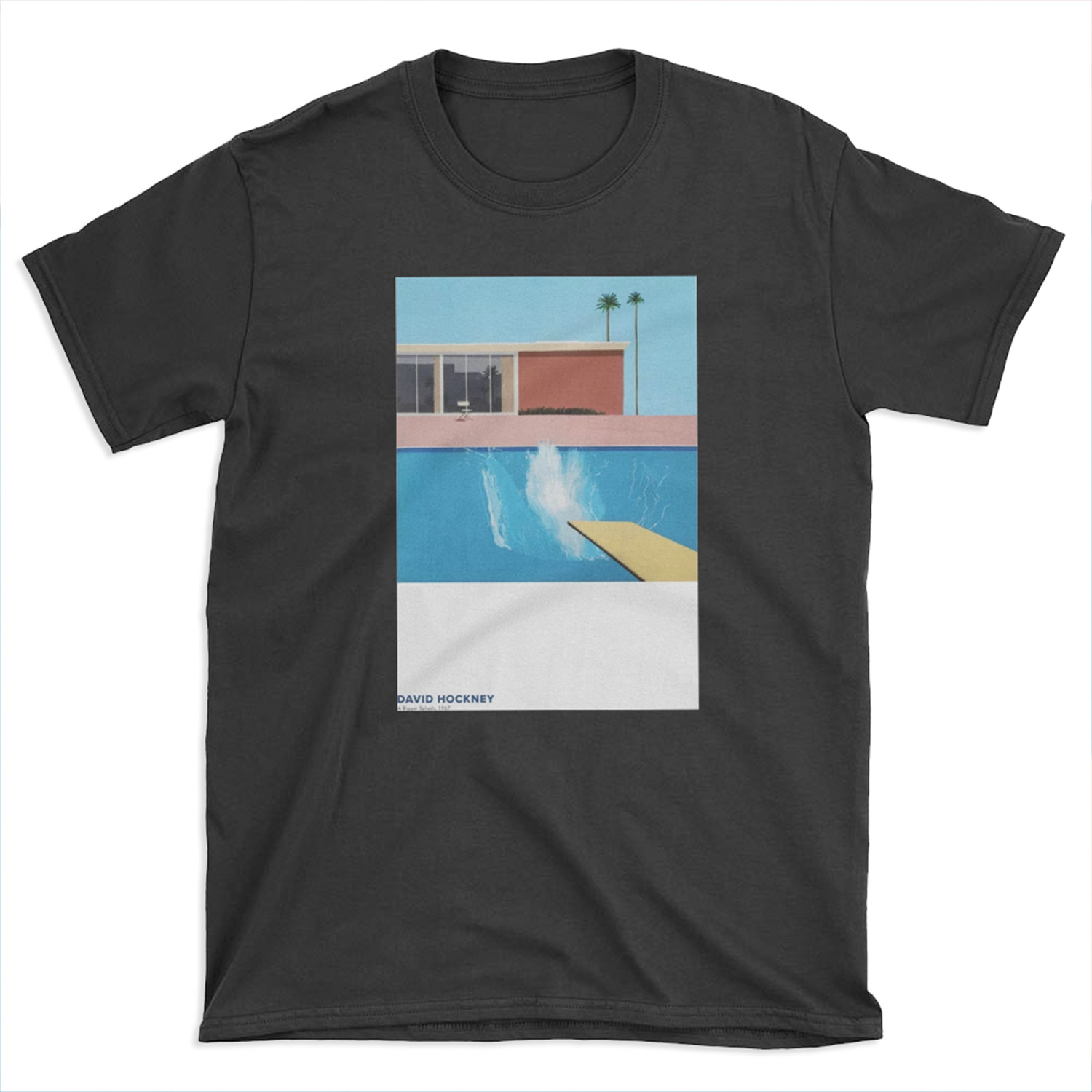 David Hockney pool T-shirt Tee