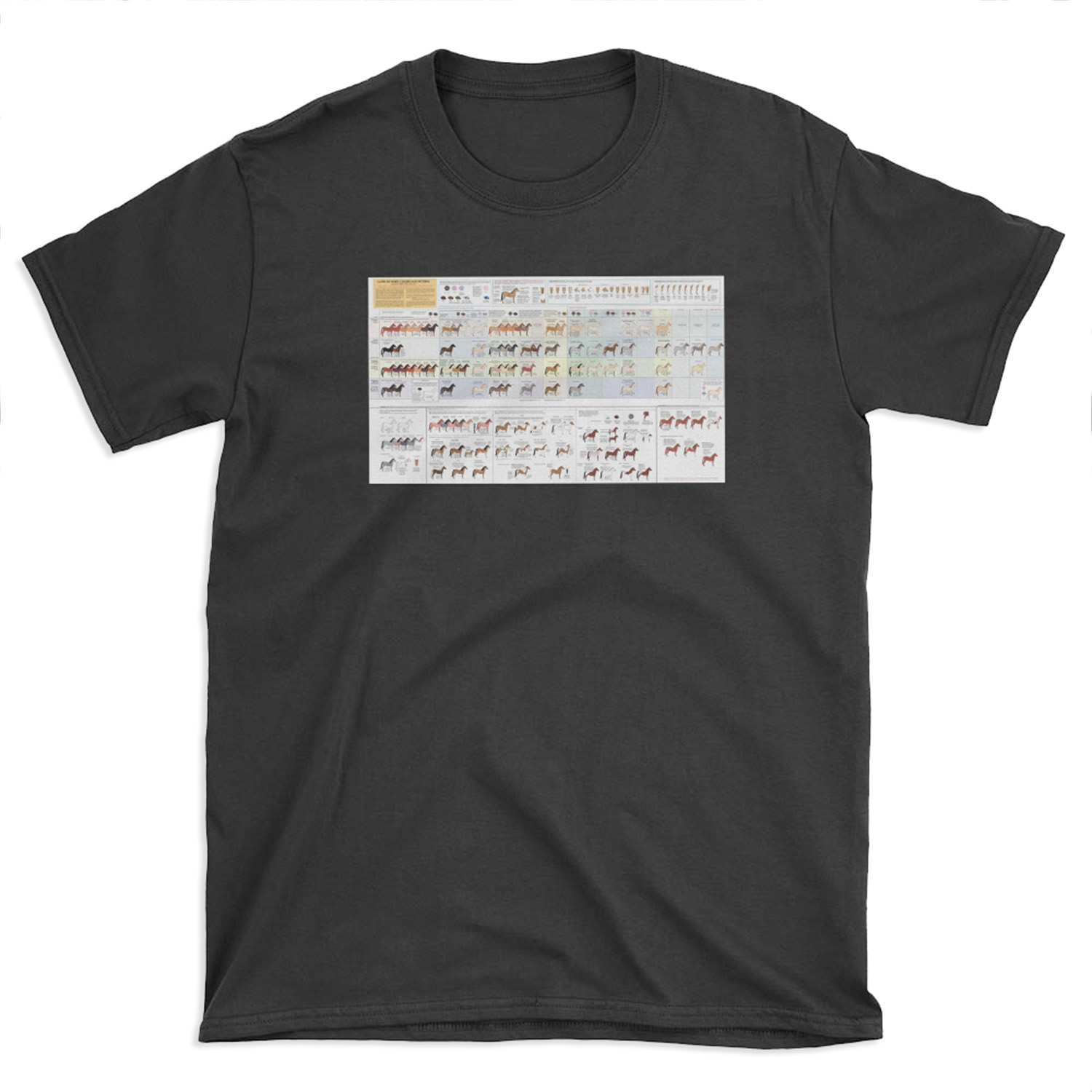 Guide to Horse Colors and Patterns T-shirt Tee