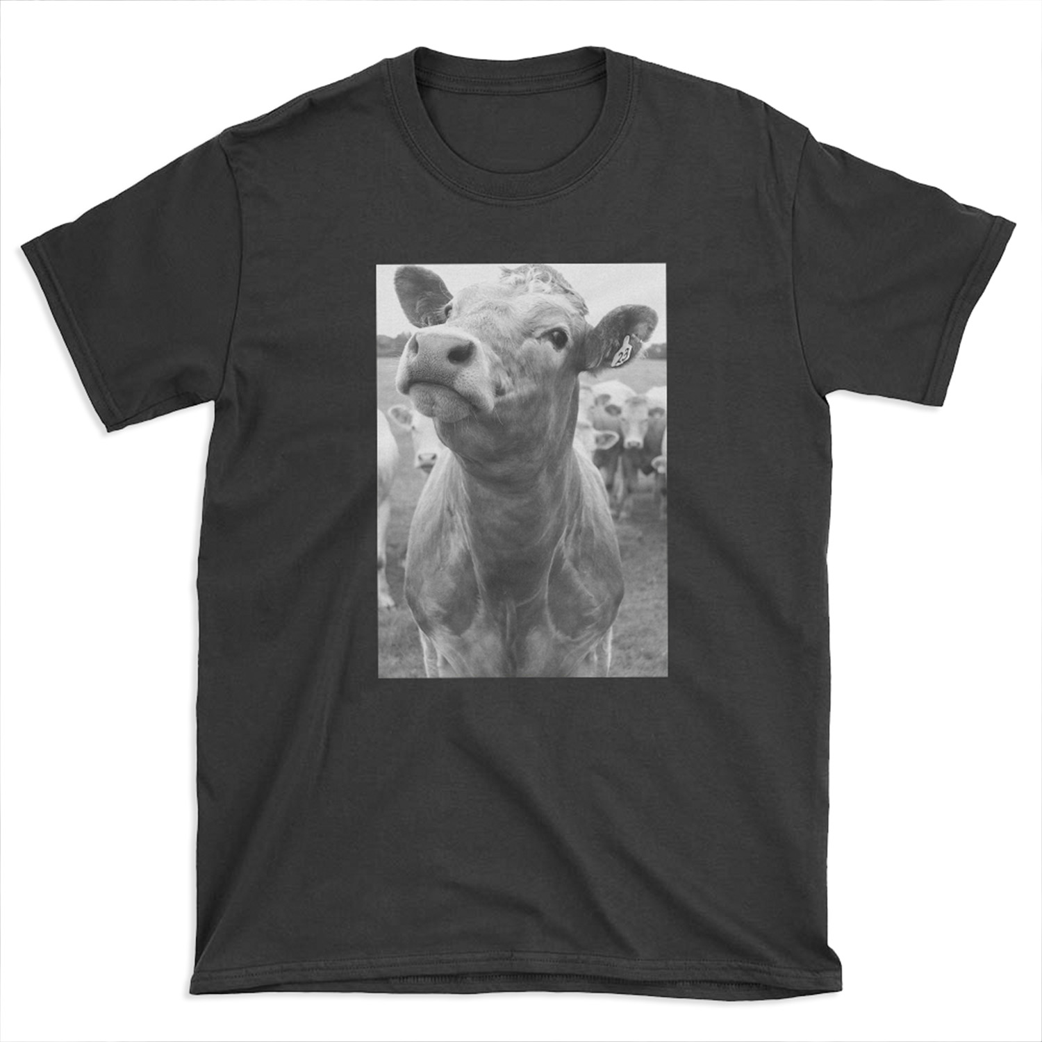 Inquisitive Cow T-shirt Tee