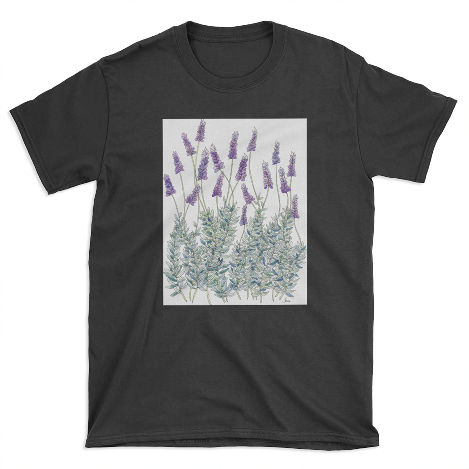 Lavender, Illustration T-shirt Tee