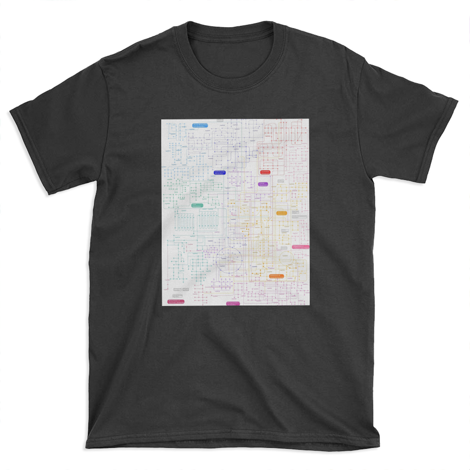 Metabolic Pathways T-shirt Tee