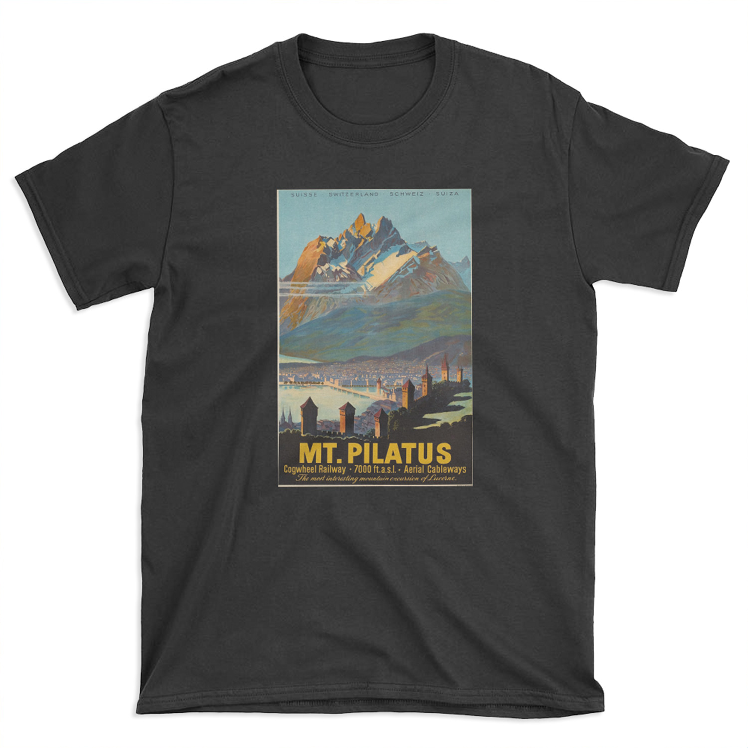 Mt.Pilatus,Switzerland,Ski T-shirt Tee