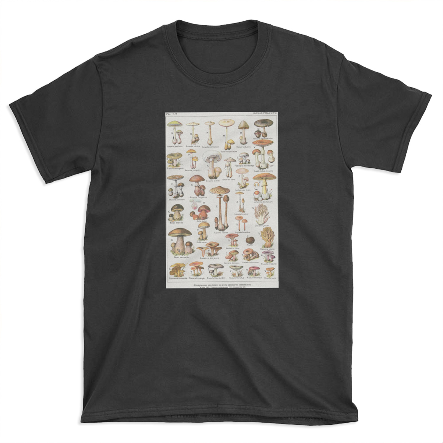 Mushrooms T-shirt Tee