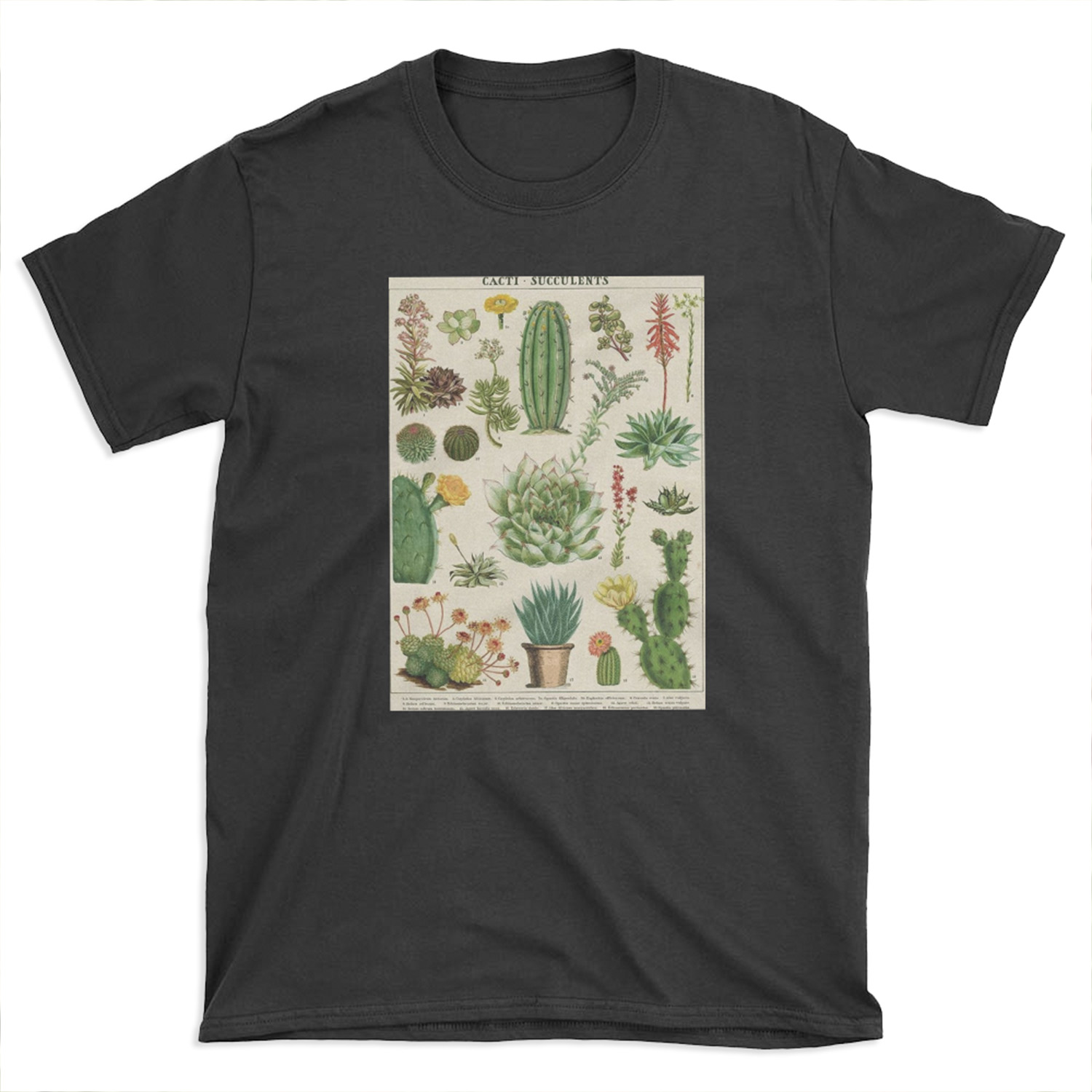 succulents poster T-shirt Tee