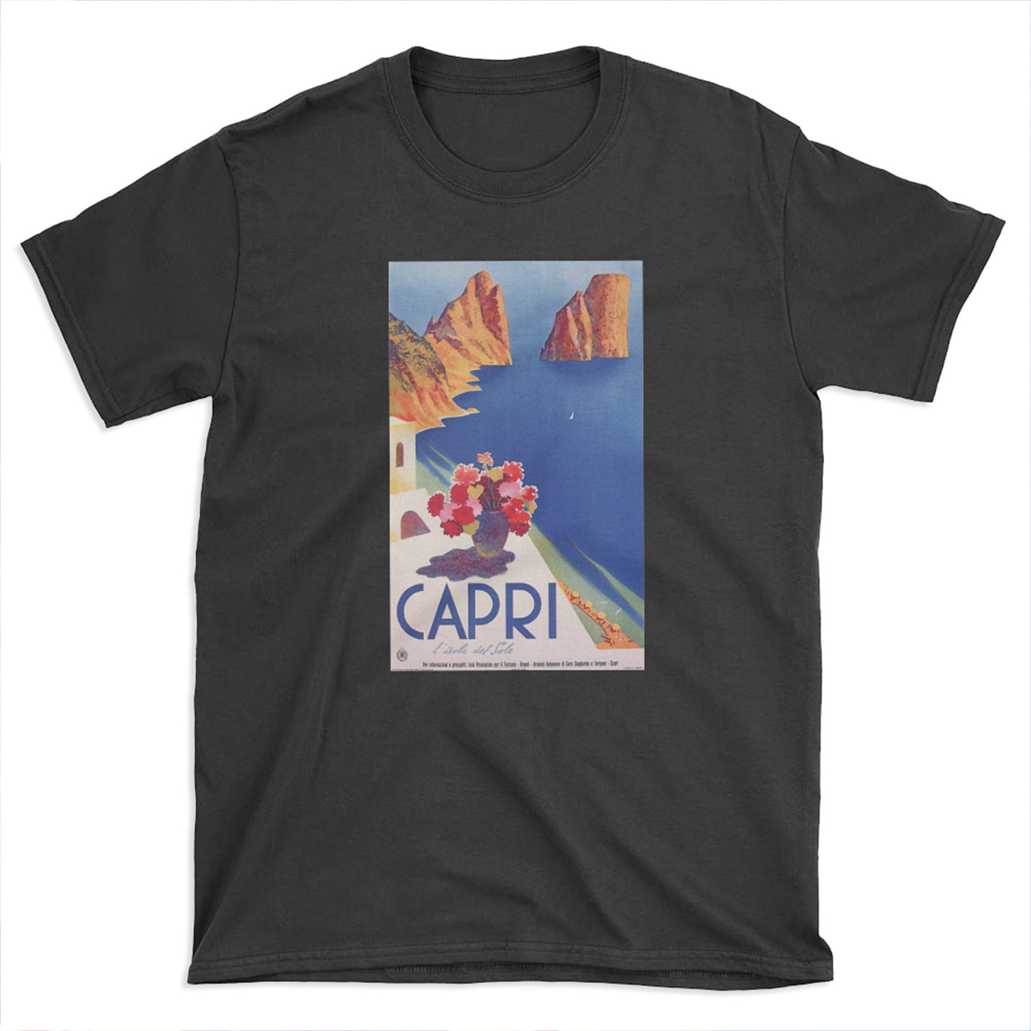 Vintage Capri Italy Travel T-shirt Tee