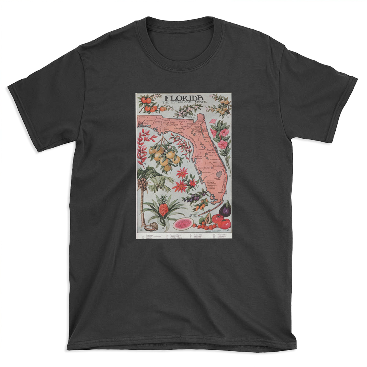 Vintage Map of Florida (1917) T-shirt Tee