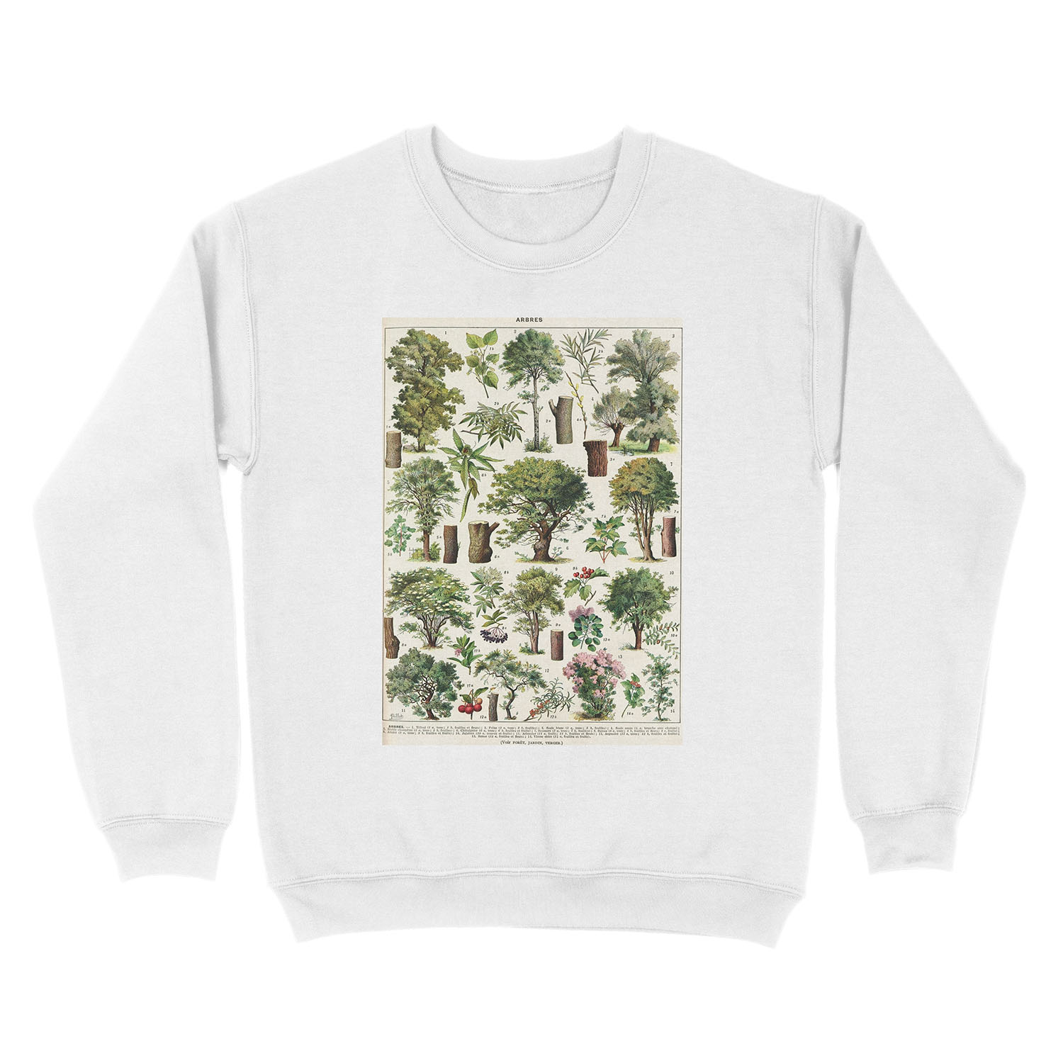 Adolphe Millot - Arbres A - French vintage botanical poster Unisex Crewneck Sweatshirt - Image 2