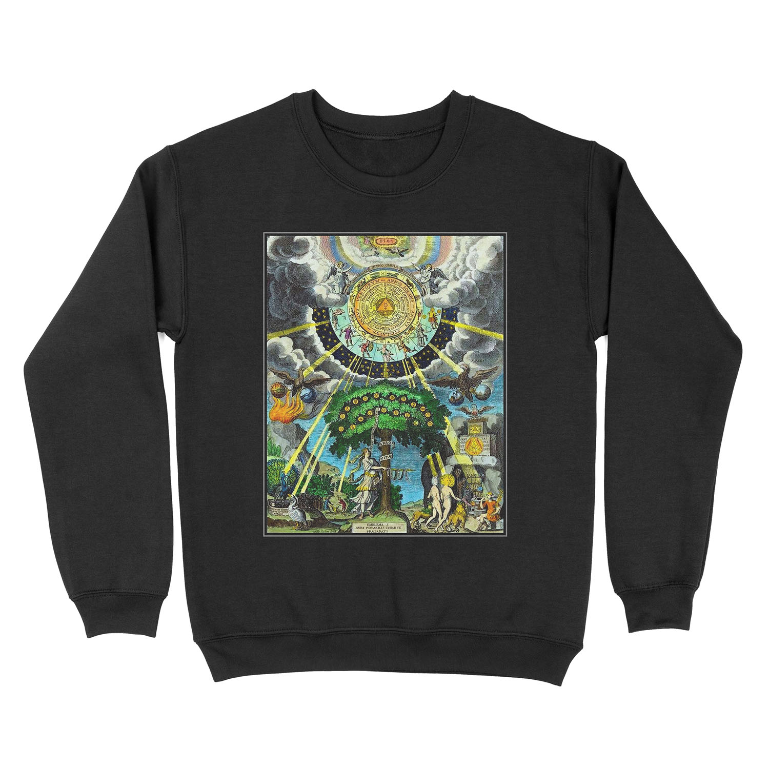 ALCHEMICAL HERMETRIC and MYSTICAL EMBLEMS PRINT Unisex Crewneck Sweatshirt