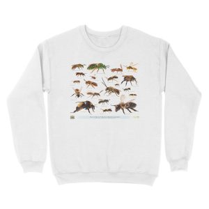 Alternative view of Beautiful Bees of Eastern North America Unisex Crewneck Sweatshirt